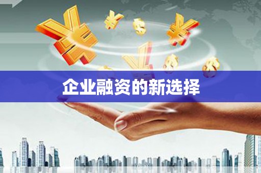 永和企业融资的新选择