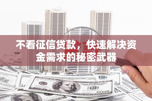 永和不看征信贷款，快速解决资金需求的秘密武器