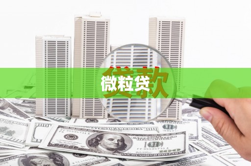 永和微粒贷