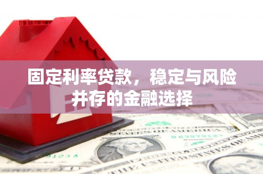永和固定利率贷款，稳定与风险并存的金融选择