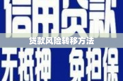 永和贷款风险转移方法