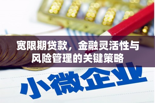 永和宽限期贷款，金融灵活性与风险管理的关键策略