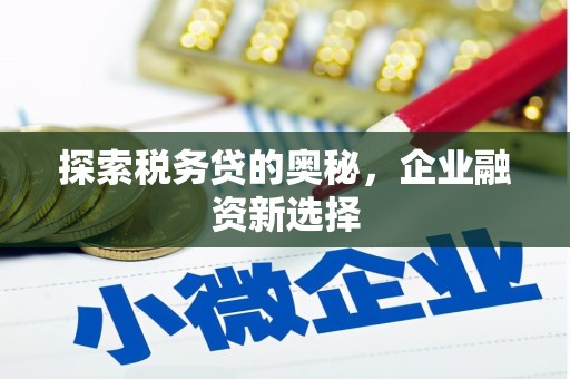 永和探索税务贷的奥秘，企业融资新选择