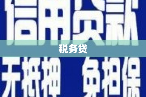 永和税务贷