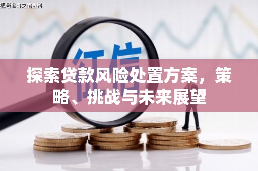 永和探索贷款风险处置方案，策略、挑战与未来展望