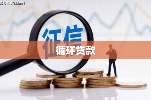 永和循环贷款