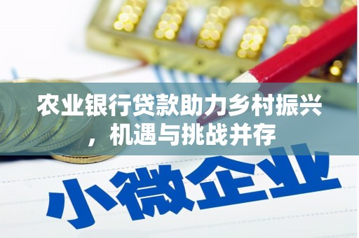 永和农业银行贷款助力乡村振兴，机遇与挑战并存