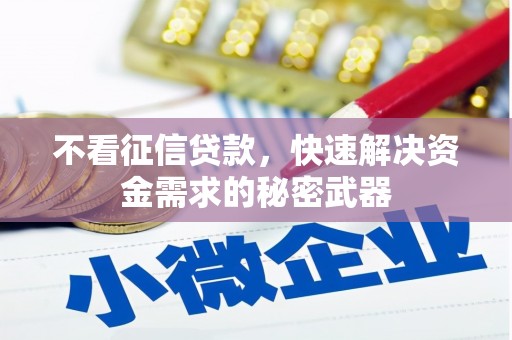 永和不看征信贷款，快速解决资金需求的秘密武器