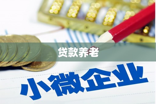 永和贷款养老