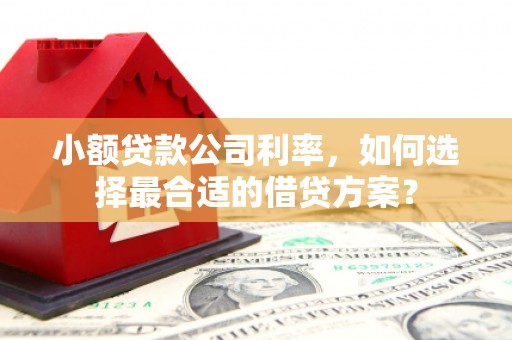 永和小额贷款公司利率，如何选择最合适的借贷方案？
