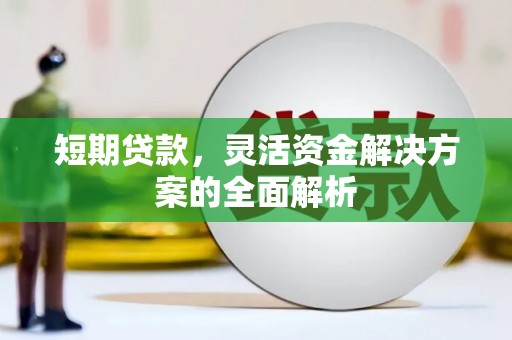 永和短期贷款，灵活资金解决方案的全面解析