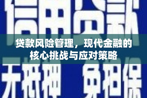 永和贷款风险管理，现代金融的核心挑战与应对策略
