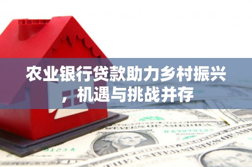 永和农业银行贷款助力乡村振兴，机遇与挑战并存