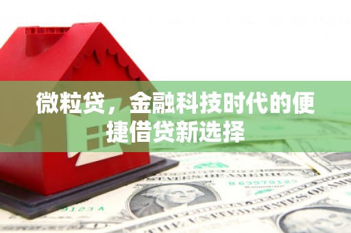 永和微粒贷，金融科技时代的便捷借贷新选择