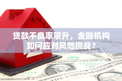 永和贷款不良率攀升，金融机构如何应对风险挑战？