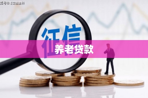 永和养老贷款