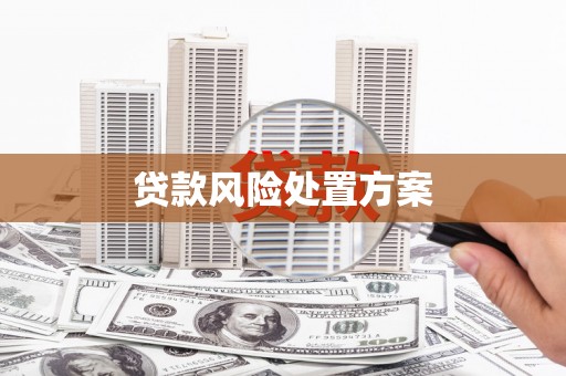 永和贷款风险处置方案